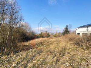 Prodej pozemku pro bydlení, Pařezov, 2050 m2