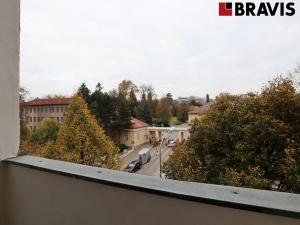 Pronájem bytu 3+kk, Brno - Královo Pole, Palackého třída, 95 m2