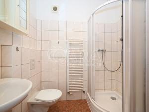 Pronájem bytu 1+kk, Praha - Záběhlice, Ginzova, 45 m2