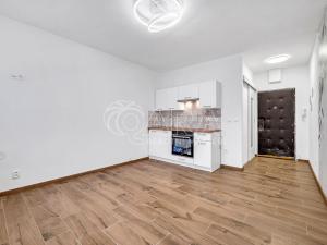 Pronájem bytu 1+kk, Písek - Budějovické Předměstí, 17. listopadu, 20 m2