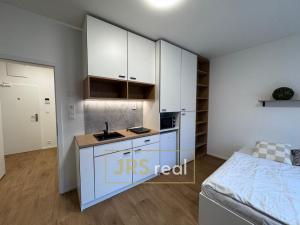 Pronájem bytu 1+kk, Brno, Cejl, 28 m2