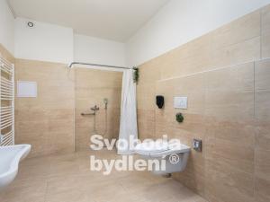 Pronájem bytu 1+kk, Otvovice, 86 m2