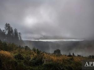 Prodej pozemku pro bydlení, Žítková, 6433 m2