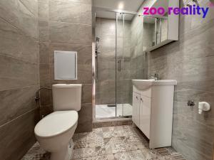 Pronájem bytu 1+1, Žatec, Družstevní, 38 m2
