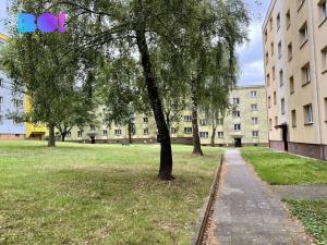 Pronájem bytu 2+1, Karviná, Čajkovského, 51 m2