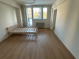 Pronájem bytu 1+1, Kladno, U Hvězdy, 41 m2