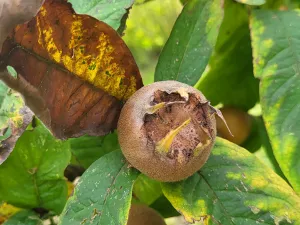 Prodej pozemku pro bydlení, Vřesovice, 2192 m2