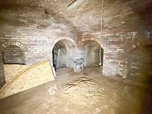 Prodej - jiné, Dyjákovičky, 226 m2