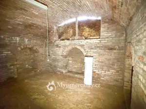 Prodej - jiné, Dyjákovičky, 226 m2