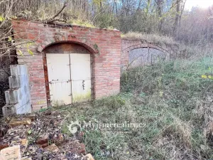 Prodej - jiné, Dyjákovičky, 226 m2