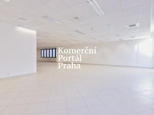 Pronájem obchodního prostoru, Praha - Nové Město, Vodičkova, 311 m2