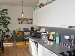 Pronájem bytu 2+kk, Olomouc - Hodolany, Holická, 52 m2