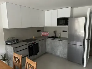 Pronájem bytu 2+kk, Praha - Dejvice, Starého, 60 m2