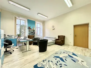 Pronájem ordinace, Opava - Město, Nákladní, 103 m2