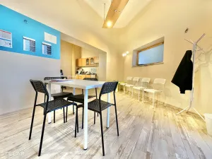 Pronájem ordinace, Opava - Město, Nákladní, 103 m2