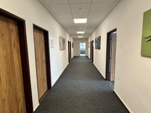 Pronájem skladu, Ostrava - Kunčice, Frýdecká, 225 m2