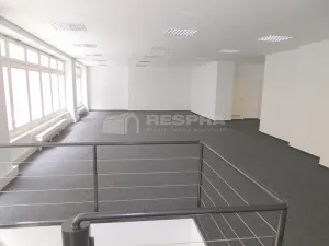 Pronájem obchodního prostoru, Praha - Staré Město, Revoluční, 380 m2