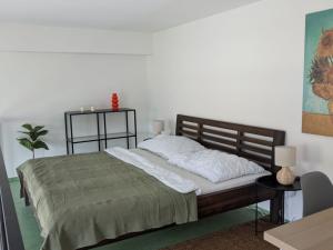 Pronájem bytu 1+kk, Praha - Karlín, Křižíkova, 40 m2