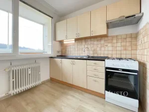 Pronájem bytu 1+1, Most, Brněnská, 39 m2