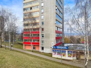 Pronájem bytu 1+1, Most, Brněnská, 39 m2