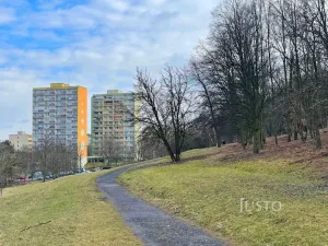 Pronájem bytu 1+1, Most, Brněnská, 39 m2