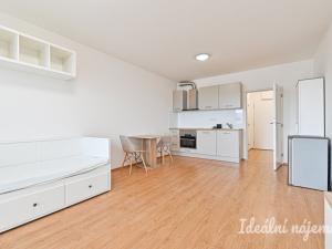 Pronájem bytu 1+kk, Brno, Reissigova, 34 m2