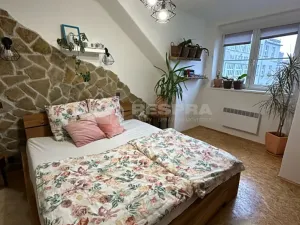 Pronájem bytu 2+kk, Praha - Braník, Branická, 42 m2