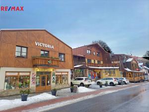 Pronájem bytu 1+kk, Harrachov, 12 m2