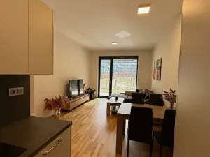 Pronájem bytu 2+kk, Praha - Holešovice, Argentinská, 56 m2