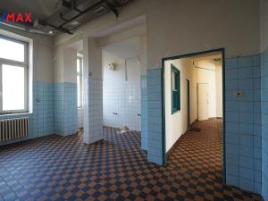Pronájem obchodního prostoru, Hradec Králové, Pospíšilova, 105 m2