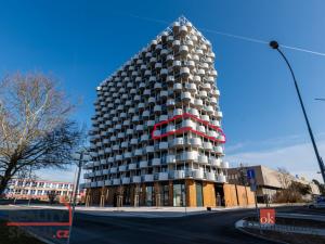 Pronájem bytu 4+kk, Plzeň - Jižní Předměstí, U Borského parku, 119 m2