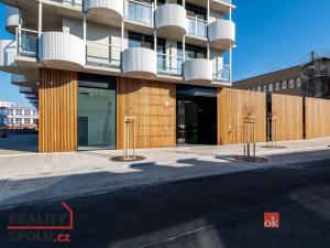 Pronájem bytu 4+kk, Plzeň - Jižní Předměstí, U Borského parku, 119 m2
