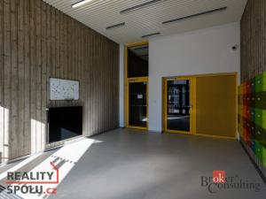 Pronájem bytu 4+kk, Plzeň - Jižní Předměstí, U Borského parku, 119 m2