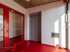 Pronájem bytu 4+kk, Plzeň - Jižní Předměstí, U Borského parku, 119 m2