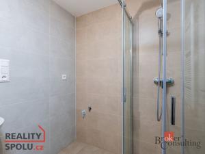 Pronájem bytu 4+kk, Plzeň - Jižní Předměstí, U Borského parku, 119 m2