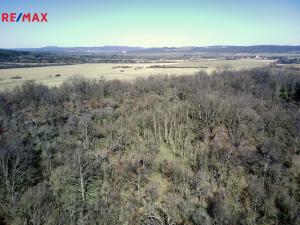 Prodej lesa, Běštín, 21632 m2