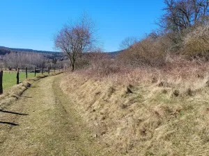 Prodej lesa, Běštín, 21632 m2