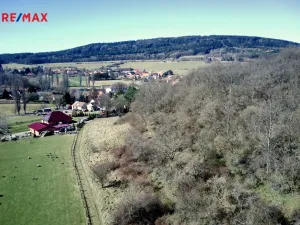 Prodej lesa, Běštín, 21632 m2