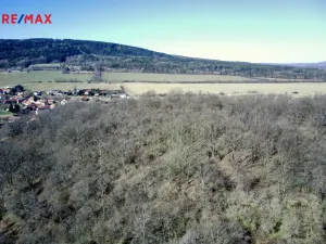 Prodej lesa, Běštín, 21632 m2