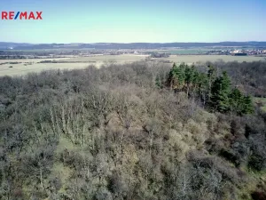 Prodej lesa, Běštín, 21632 m2