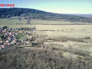 Prodej lesa, Běštín, 21632 m2