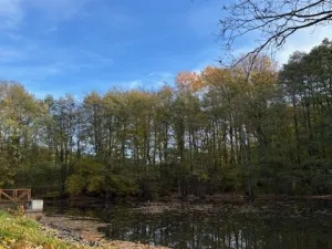 Prodej rodinného domu, Ondřejov - Třemblat, Výstavní, 310 m2