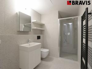 Pronájem bytu 2+kk, Brno - Staré Brno, Nové sady, 71 m2