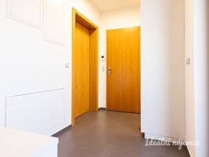 Pronájem bytu 2+kk, Praha - Žižkov, Kunešova, 49 m2