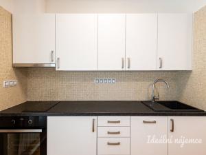 Pronájem bytu 2+kk, Praha - Žižkov, Kunešova, 49 m2