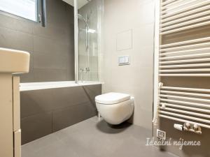 Pronájem bytu 2+kk, Praha - Žižkov, Kunešova, 49 m2