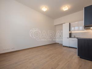 Pronájem bytu 3+kk, Praha - Staré Město, U milosrdných, 72 m2