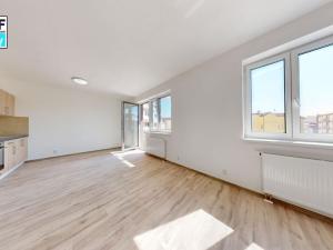 Pronájem bytu 1+kk, Plzeň, Železniční, 43 m2