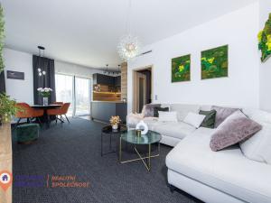 Prodej bytu 3+kk, Olomouc, Ostrovní, 263 m2