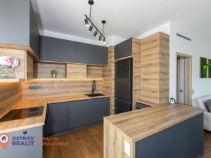 Prodej bytu 3+kk, Olomouc, Ostrovní, 263 m2